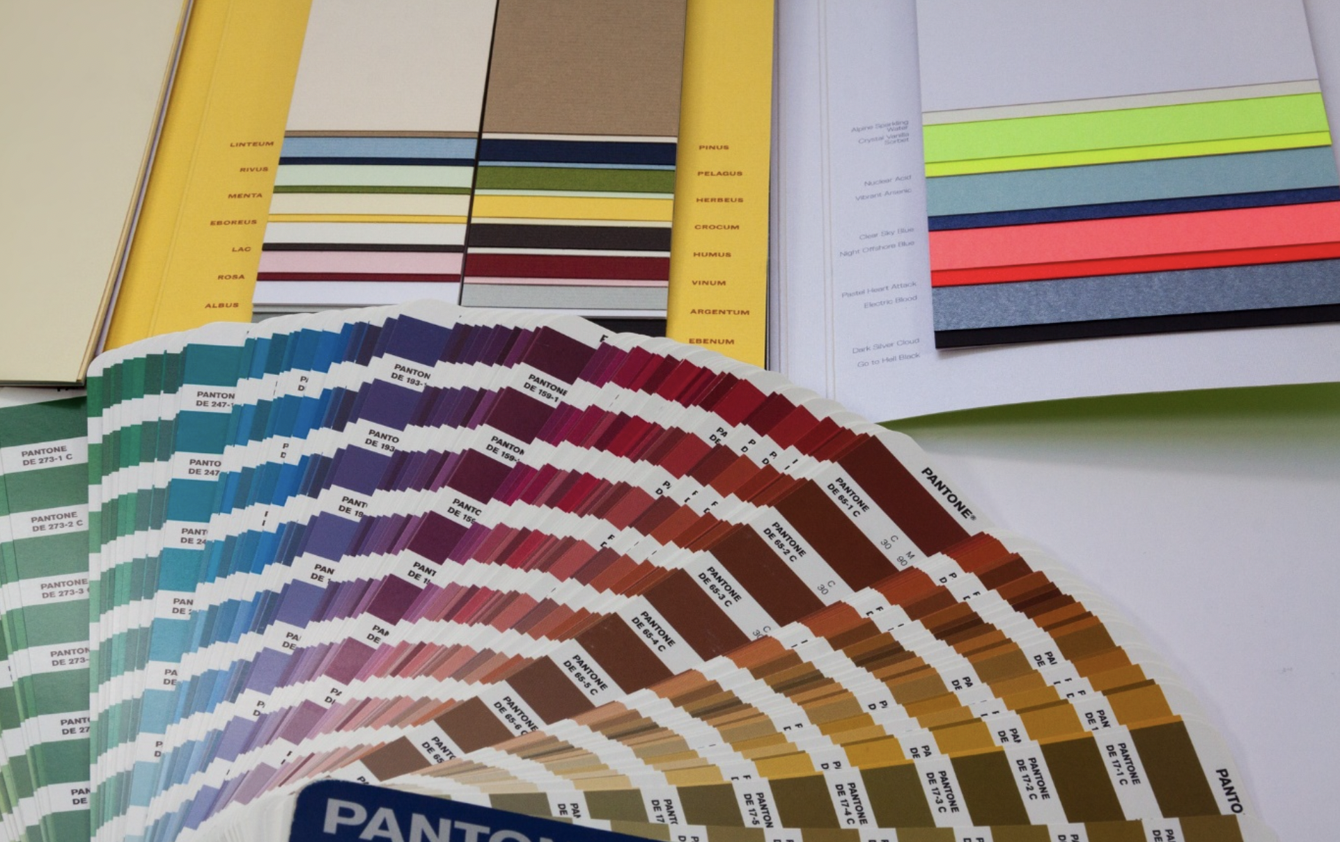 Patra selecting colours for prints