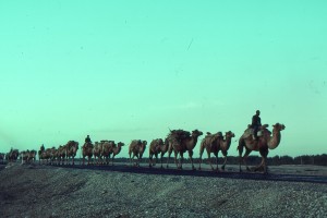 Silk_Road_1992