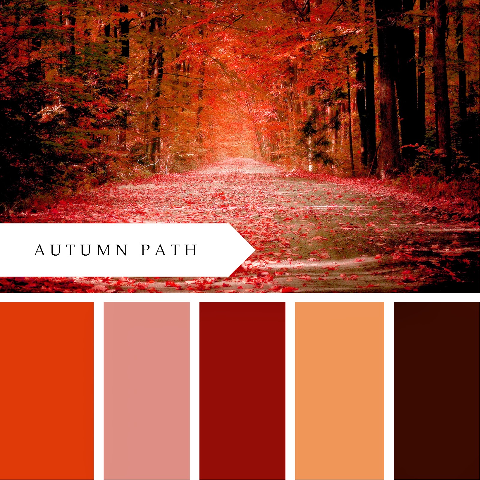 Теплые цвета сочетания. Палитра осени. Цветовые сочетания. Осенняя цветовая палитра. Сочетание цветов с коричневым.