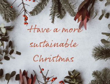 have a more sustainable christmas