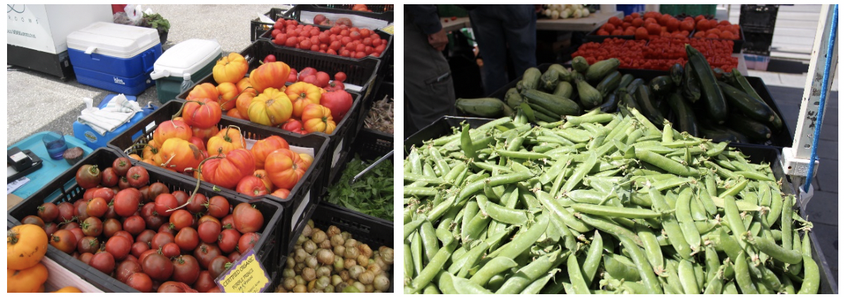 Earth Day Tips farmer's markets