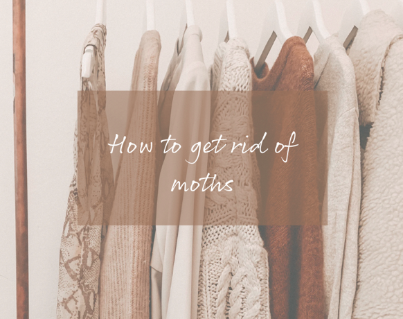How to get rid of moths