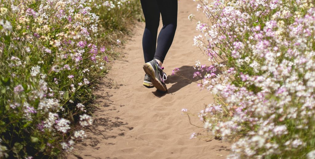 Country Walks footwear