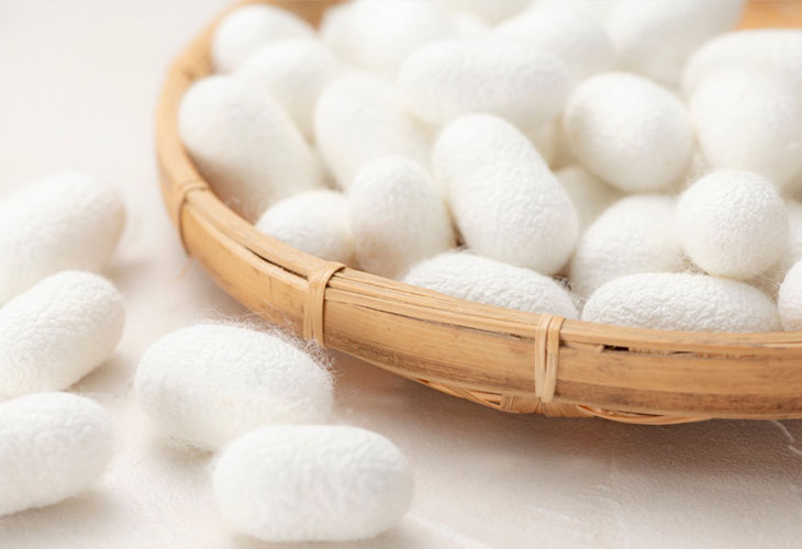 Silk Cocoons in the basket