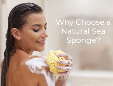 Sea sponge photo with model