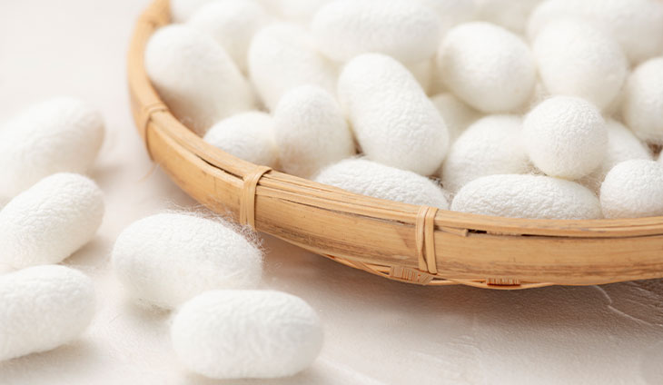 Silk Cocoons, Benefits of Silk